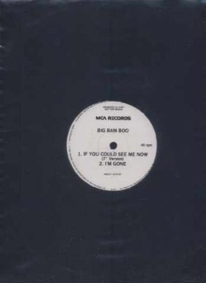 Big Bam Boo - If You Could See Me Now - UK 12" Single - WMCAT1321 ex/m