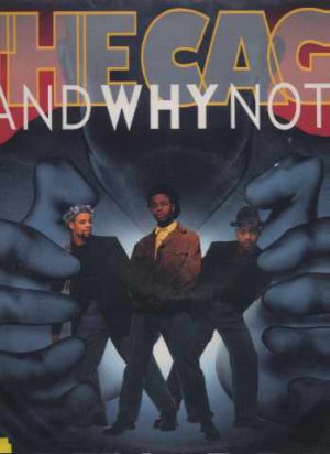 And Why Not? - The Cage - UK 12" Single - 12IS467 ex/m