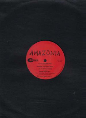 Amazonia - Everyone - UK 12" Single - MRUK001 ex/m
