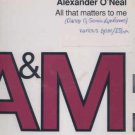 Alexander O'Neal - All That Matters To Me - UK 12" Single - AMYDJ7723 ex/ex