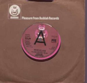 Addrisi Brothers - Never My Love - UK 7" Single - BDS468 ex/m
