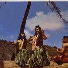 The Hawaiian Serenaders - The Hawaiian Serenaders - UK LP - ENC157 ex/ex