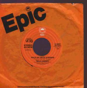 Wild Cherry - Hold On (With Strings) - USA 7" Single - 8-50401 ex/m