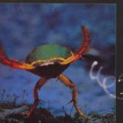 Vangelis - Soil Festivities - UK LP - POLH11 ex/m