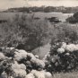 BIARRITZ Postcard FRANCE 1963