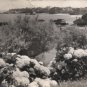 BIARRITZ Postcard FRANCE 1963