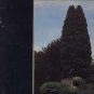 John Foxx - The Garden - UK LP - V2194 vg/m
