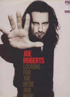 Joe Roberts - Looking For The Here And Now - UK LP - 828356-1 ex-/m