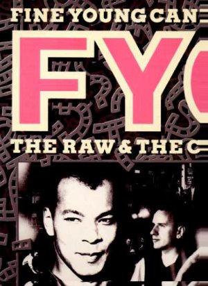 Fine Young Cannibals - The Raw & The Cooked - UK LP - 828069-1 ex/m