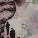 Echo & The Bunnymen - Porcupine - Germany LP - KODE6 ex/ex