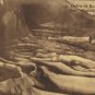 GROTTE DE REMOUCHAMPS LES BASSINS GOURS Postcard