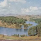Tarn Hows Lake District Colour Postcard 1957