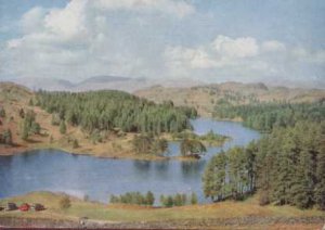 Tarn Hows Lake District Colour Postcard 1957