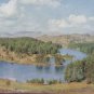 Tarn Hows Lake District Colour Postcard 1957