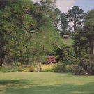 Trelissick Gradens Nr Truro Cornwall Postcard