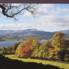 The Coniston fells viewed from across Windermere Cumbia Postcard