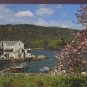 Sightseeing Launches and the Aquarius Centre & Restaurant, Bowness Bay, Winderme