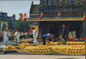 Chesse Market Holland Postcard