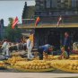 Chesse Market Holland Postcard