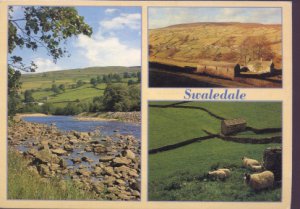 Swaledale North Yorshire Postcard / Judges