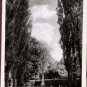 Promenade De Verdun, Purley Postcard 1966  Archie Handford Ltd