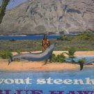 Wout Steenhuis - Blue Hawaii - UK Vinyl LP ex/ex