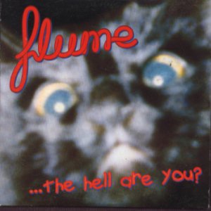 Flume ...The Hell Are You? - Some Time - 2 Track UK CD Single