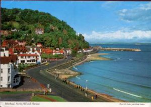 Minehead, North Hill and Harbour Postcard 1989  John Hinde Original