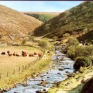 Badgeworthy Water - Above Lorna Dooe Fram Exmoor Postcard by Judges