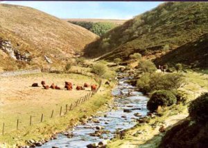 Badgeworthy Water - Above Lorna Dooe Fram Exmoor Postcard by Judges