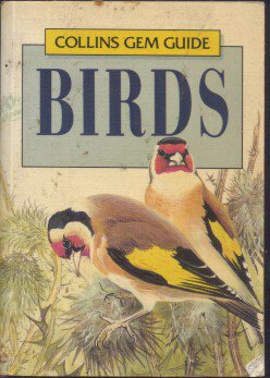 Collins Gem Guide - Birds