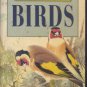 Collins Gem Guide - Birds