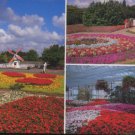 SPRINGFIELDS SPALDING - Postcard : Jarrold