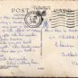 The Pine Forest and Castle Cornet , Guernsey Postcard by Valentine  1959