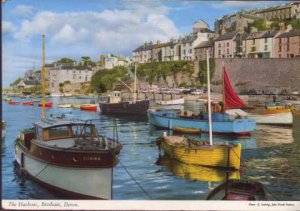 The Harbour Brixham, Devon Postcard  John Hinde Original