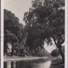 Royal Military Canal, Hythe Kent Postcard 1966 RP