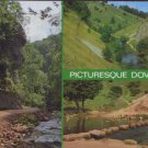 Picturesque Dovedale  Postcard  1988  J.Salmon