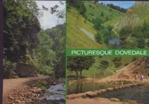 Picturesque Dovedale  Postcard  1988  J.Salmon
