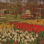 Keukenhof  Lisse Holland Postcard  1963