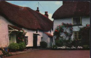 Hope Cove, Bigbury Bay DEVON  Postcard