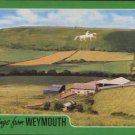 Greetings From Weymouth Postcard  Salmon