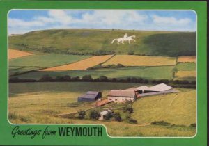 Greetings From Weymouth Postcard  Salmon