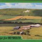 Greetings From Weymouth Postcard  Salmon