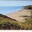 Druidston Haven  Walesl - Archway Postcard  1987