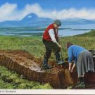 Cutting Peat in Scotland Postcard A Hail Caledonia Product  - People