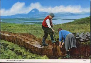 Cutting Peat in Scotland Postcard A Hail Caledonia Product  - People
