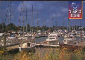 Chichester Marina Postcard  John Hinde