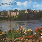 Chepstow Castle From the River Wye Postcard 1989  Salmon