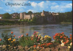 Chepstow Castle From the River Wye Postcard 1989  Salmon