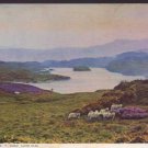Betws-y-Coed Lake Elsi  Postcard JUDEGS